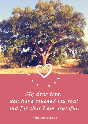 My Tree - met quote - blog Tineke Vanheule