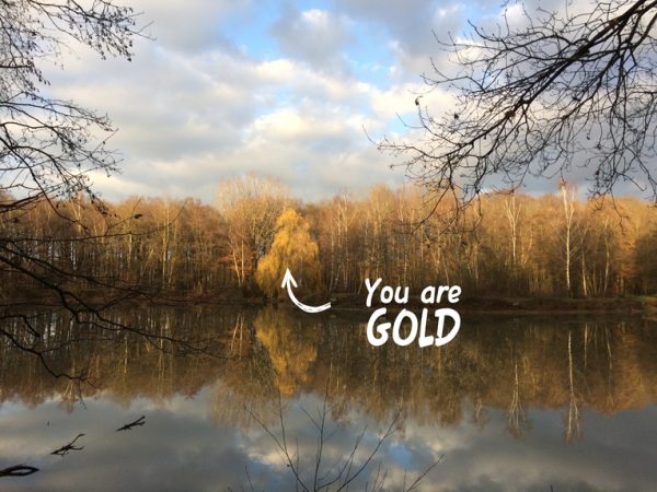 Jij bent goud... - blog - Tineke Vanheule