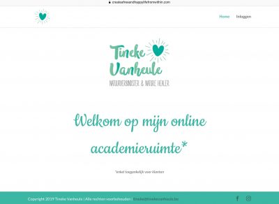 Online academieruimte - Tineke Vanheule